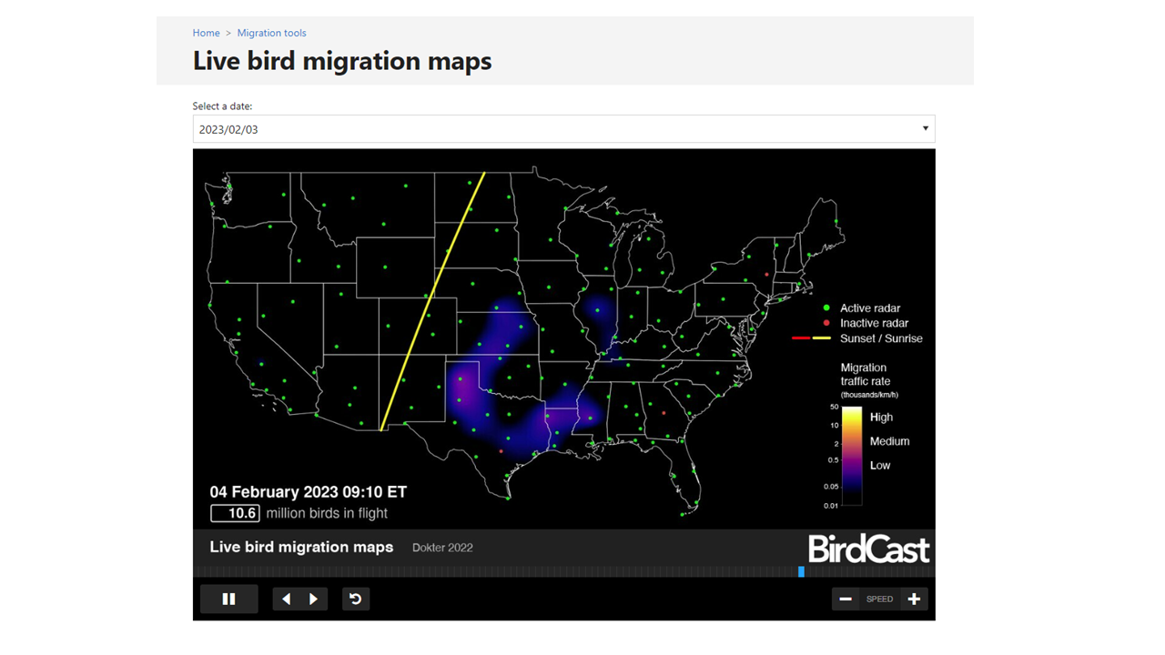 Bird Radar Image